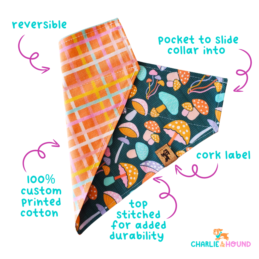Pink Ball Is Life - Reversible Dog Collar Bandana