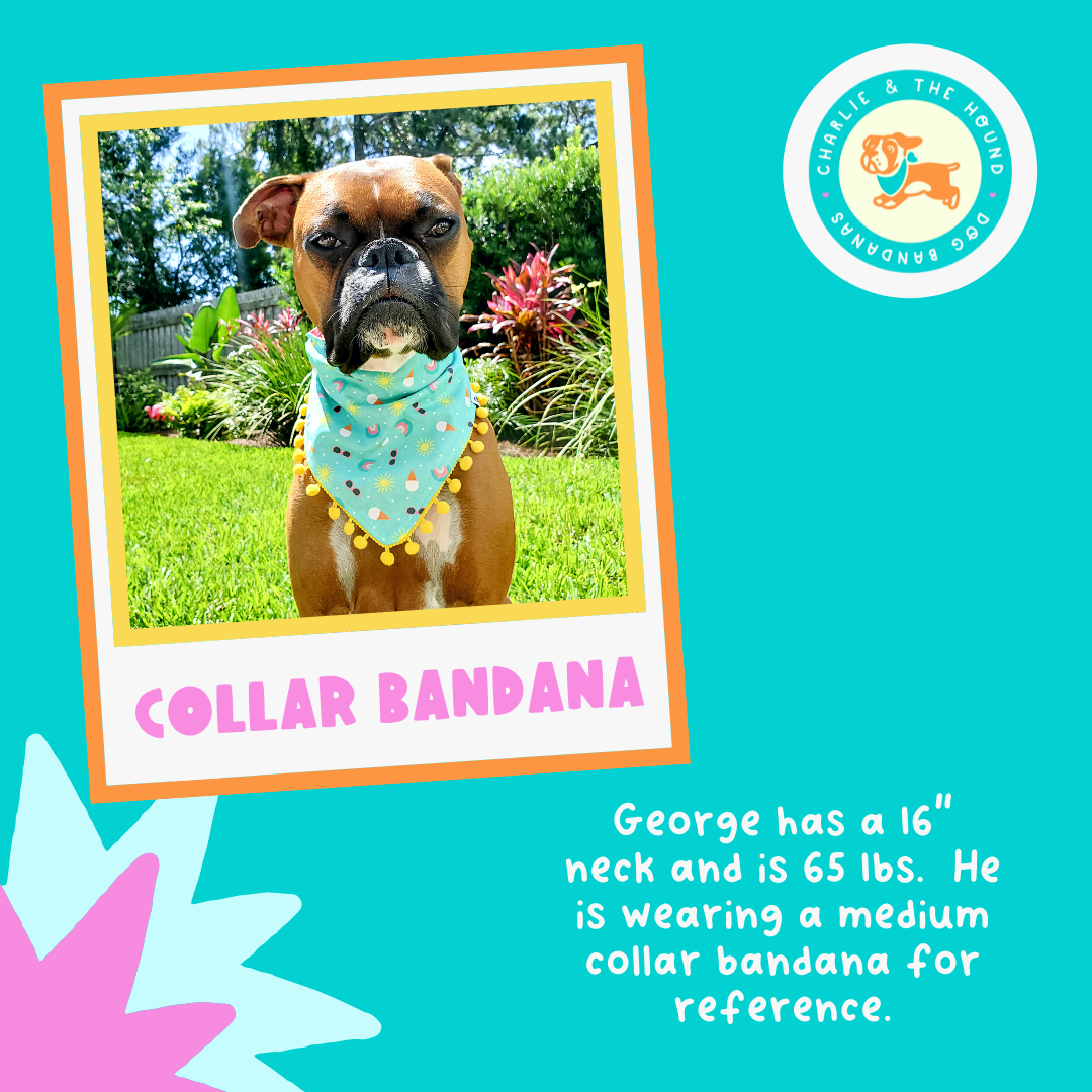 Summer Gnomes - Reversible Dog Collar Bandana