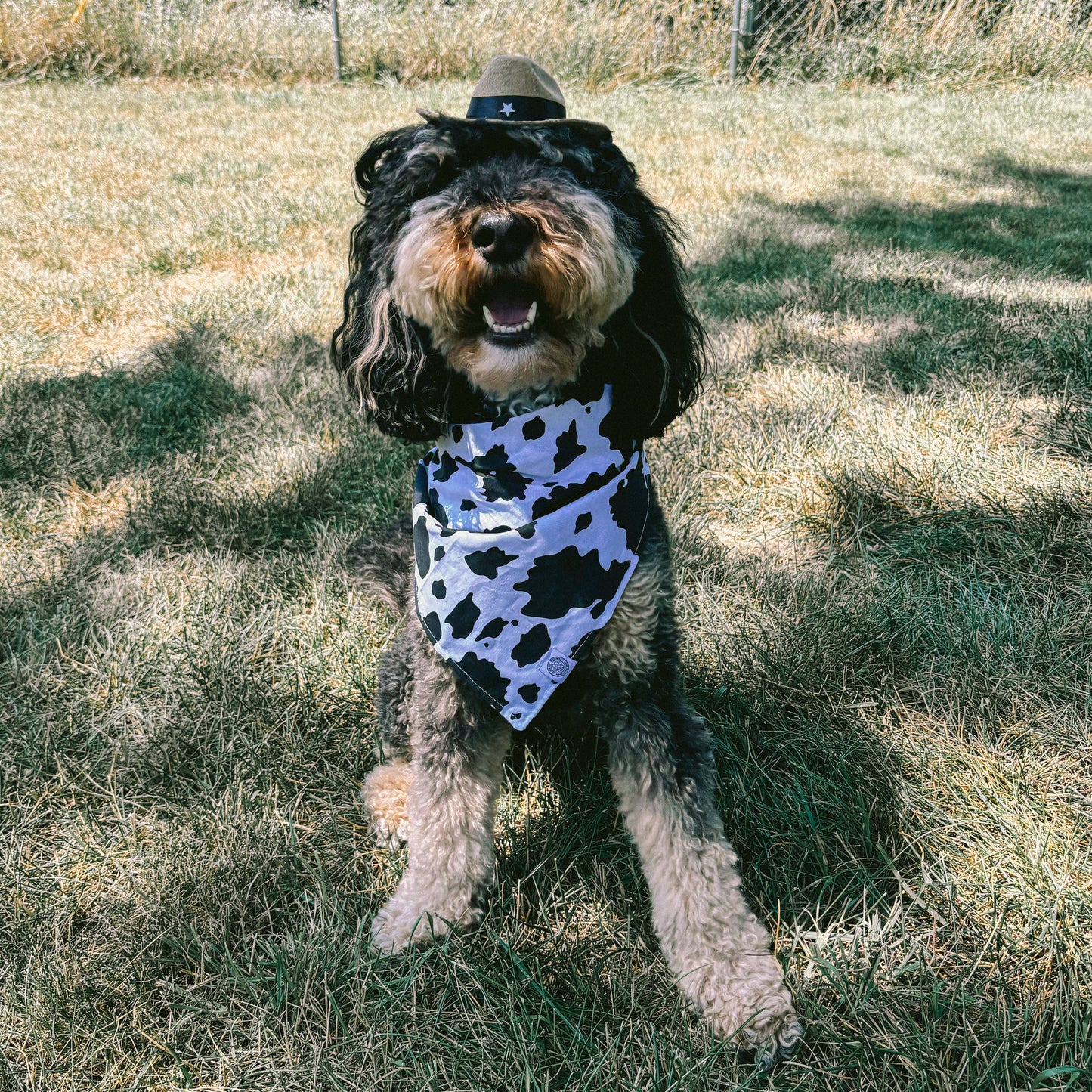 Tucker Dog Bandana