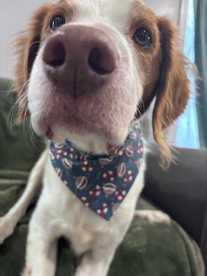 Shark Attack Scrunchie Bandana